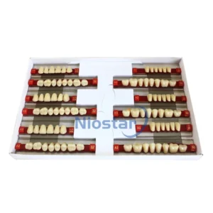 Dental Acrylic Resin Teeth Denture Teeth Artificial Resin Teeth